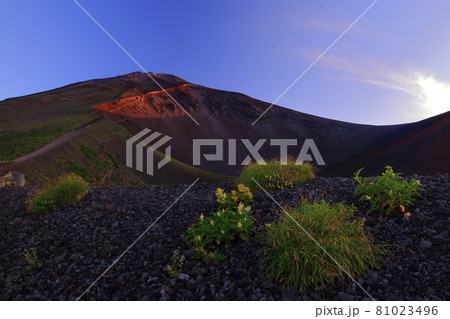 富士山　宝永火口　陽差し込み一番 81023496