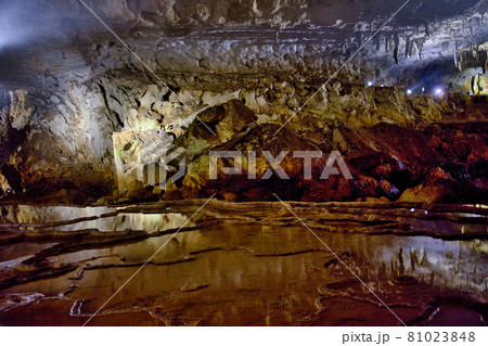 秋芳洞 秋芳洞 81023848