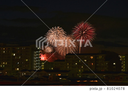 花火 花火 81024078