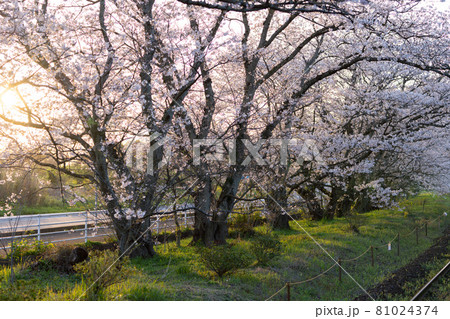 松浦鉄道 浦ノ崎駅 81024374