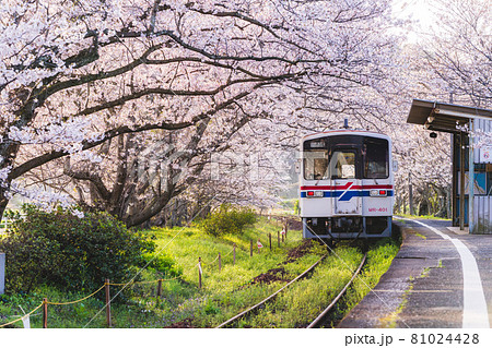 松浦鉄道 浦ノ崎駅の写真素材