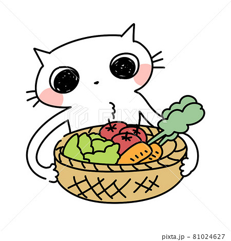 野菜を持つ、収穫、農業 野菜を持つ、収穫、農業 81024627