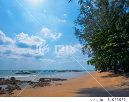 黒と黄色の砂が混じる南国の閑静なビーチ (カオラック、パンガー県、タイ王国) 81025076