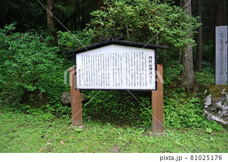 花巻市東和町パワースポット　丹内山神社　歴史案内板 81025176