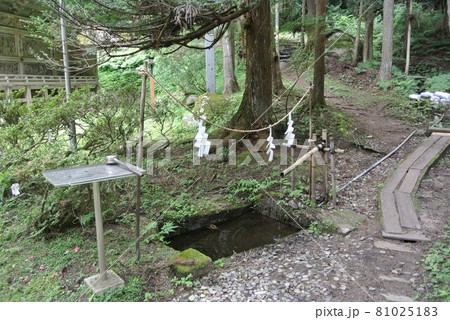 花巻市東和町パワースポット　丹内山神社　境内 81025183