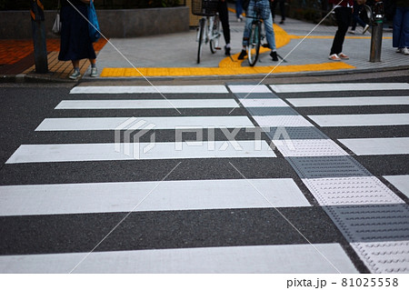 信号待ちをする人と横断歩道 信号待ちをする人と横断歩道 81025558