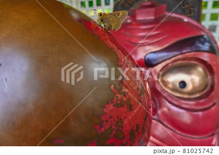 小樽　天狗山 81025742