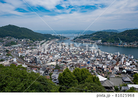 尾道街並と尾道港＜広島県尾道市千光寺山から/8月＞ 81025968
