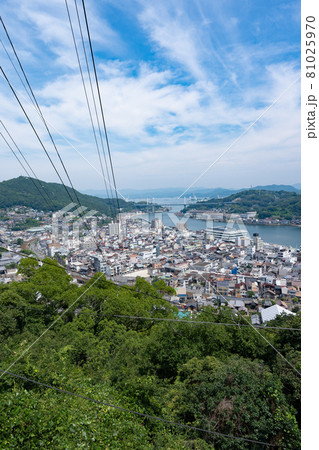 尾道街並と尾道港＜広島県尾道市千光寺山から/8月＞ 81025970