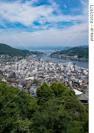 尾道街並と尾道港<広島県尾道市千光寺山から/8月> 尾道街並と尾道港<広島県尾道市千光寺山から/8月> 81025975