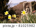心の中にある風景 81025982