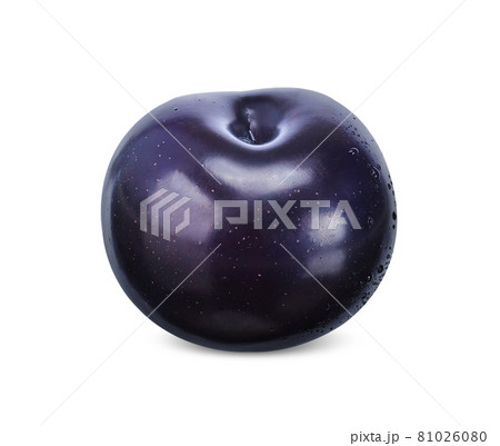 Plum isolated on white background. 81026080