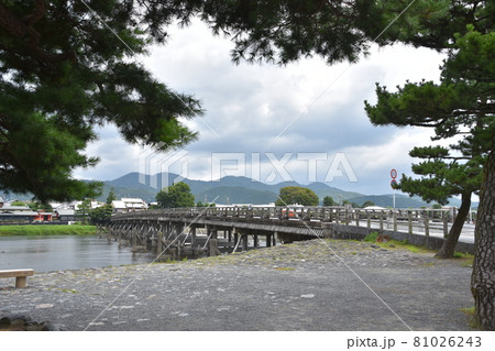 夏の嵐山　渡月橋と桂川 81026243