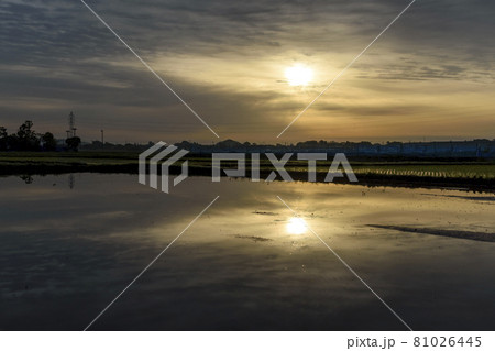 朝日に染まる里山風景 81026445