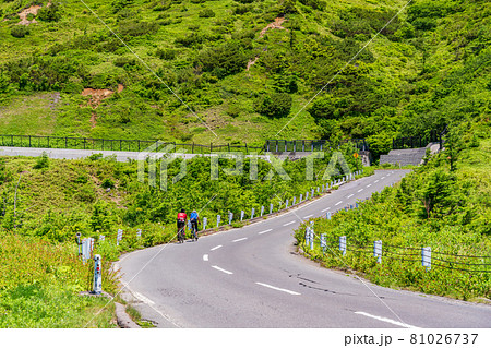 （群馬県）志賀草津道路　山田峠・白根山付近　ロードバイク乗り 81026737
