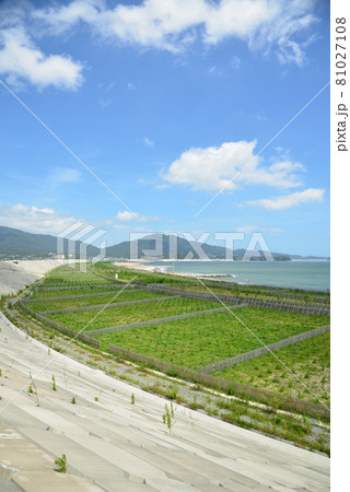 2021年　夏の高田松原の風景 81027108