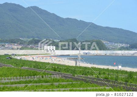 2021年 高田松原11年ぶりの海水浴場海開 2021年 高田松原11年ぶりの海水浴場海開 81027122