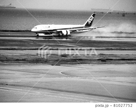 悪天候の羽田国際空港　着陸した飛行機 81027752