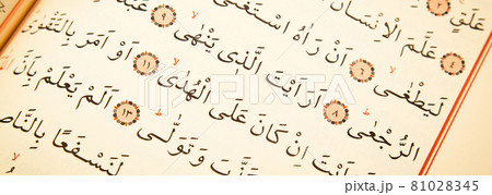 Pages verses from the holy book of islam religion quran, kuran and chapters 81028345