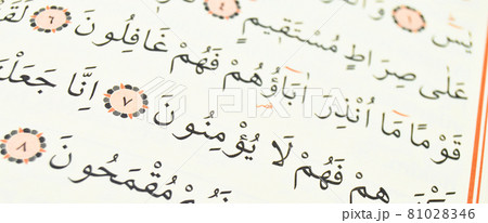 Pages verses from the holy book of islam religion quran, kuran and chapters Pages verses from the holy book of islam religion quran, kuran and chapters 81028346