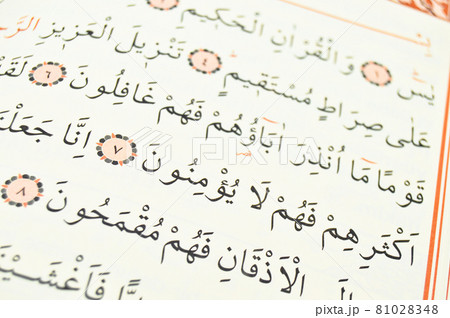 Pages verses from the holy book of islam religion quran, kuran and chapters 81028348
