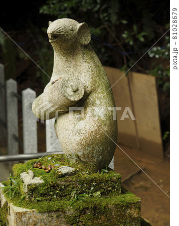 【京都市】大豊神社の狛鼠 【京都市】大豊神社の狛鼠 81028679