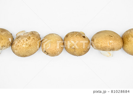 Healthy brown chestnut mushrooms isolated on white background Healthy brown chestnut mushrooms isolated on white background 81028684