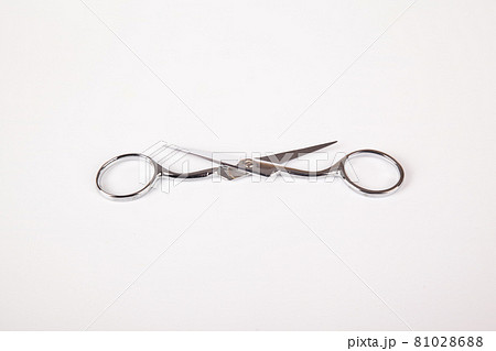 Retro professional small tailor scissors, isolated on white background Retro professional small tailor scissors, isolated on white background 81028688