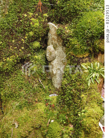 高野山　木の中に埋まった地蔵菩薩 81029513