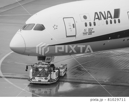 トーイングカーに牽引される飛行機 羽田国際空港 トーイングカーに牽引される飛行機 羽田国際空港 81029711