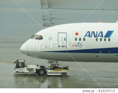 トーイングカーに牽引される飛行機　羽田国際空港 81029713