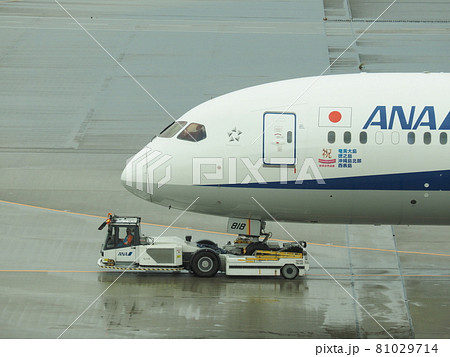 トーイングカーに牽引される飛行機　羽田国際空港 81029714