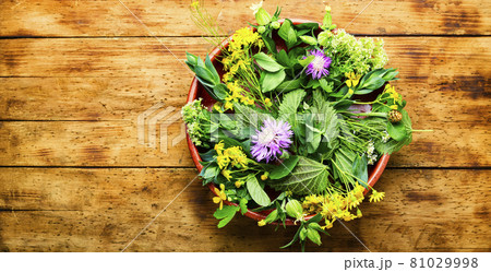 Natural medicine,fresh herbs on wooden table 81029998