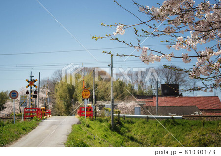 桜の花と踏切が見える田舎の風景 81030173