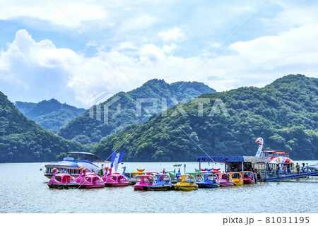 初夏の相模湖　スワンボート　神奈川県 81031195