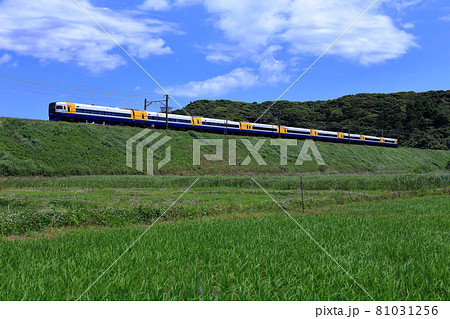 築堤を走る255系特急しおさい号 81031256