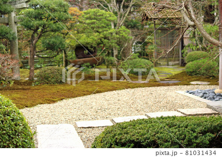 萩城下町の菊屋家住宅 庭園と石畳の写真素材