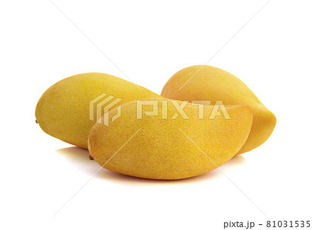 Delicious ripe yellow mango fruit isolated on white background Delicious ripe yellow mango fruit isolated on white background 81031535