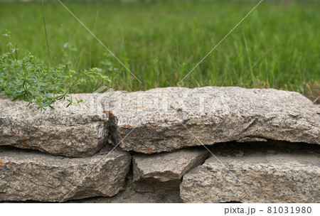 3D background with a stone podium display. A natural rock pedestal on a natural green background. 81031980