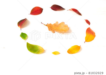 Circle of colorful autumn leaves, gradient frame for design on a white wood 81032029