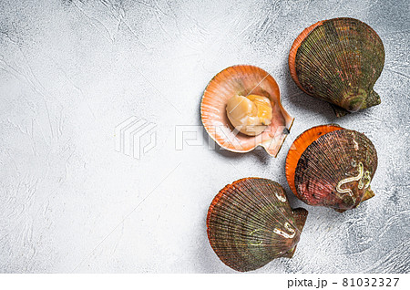 Raw Queen Scallops on kitchen table. White background. Top view. Copy space Raw Queen Scallops on kitchen table. White background. Top view. Copy space 81032327