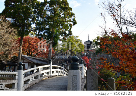 金戒光明寺の紅葉 金戒光明寺の紅葉 81032525