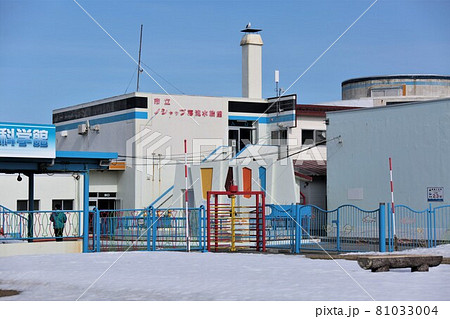 ノシャップ寒流水族館・稚内市青少年科学館（北海道稚内市） 81033004