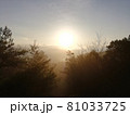 厄除 立木観音裏参道の朝陽_滋賀県大津市 81033725