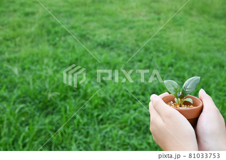 芽を持った女の子の手 81033753