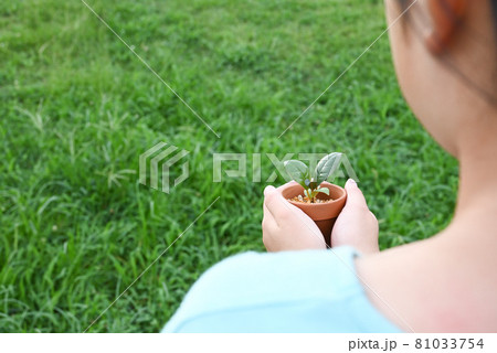 芽を持った女の子の手 81033754