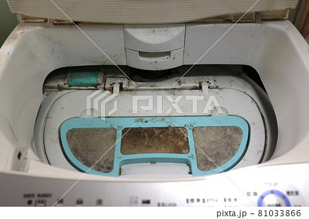 洗濯機の蓋のカビ 洗濯機の蓋のカビ 81033866