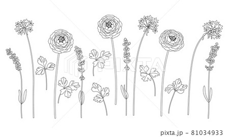 Monochrome Different Flowers on Stems Set 81034933