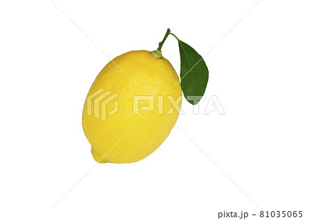yellow lemon citrus fruit and green leaves yellow lemon citrus fruit and green leaves 81035065