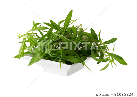 Fresh tarragon herbs, Tarragon herbs close up isolated on white background 81035824